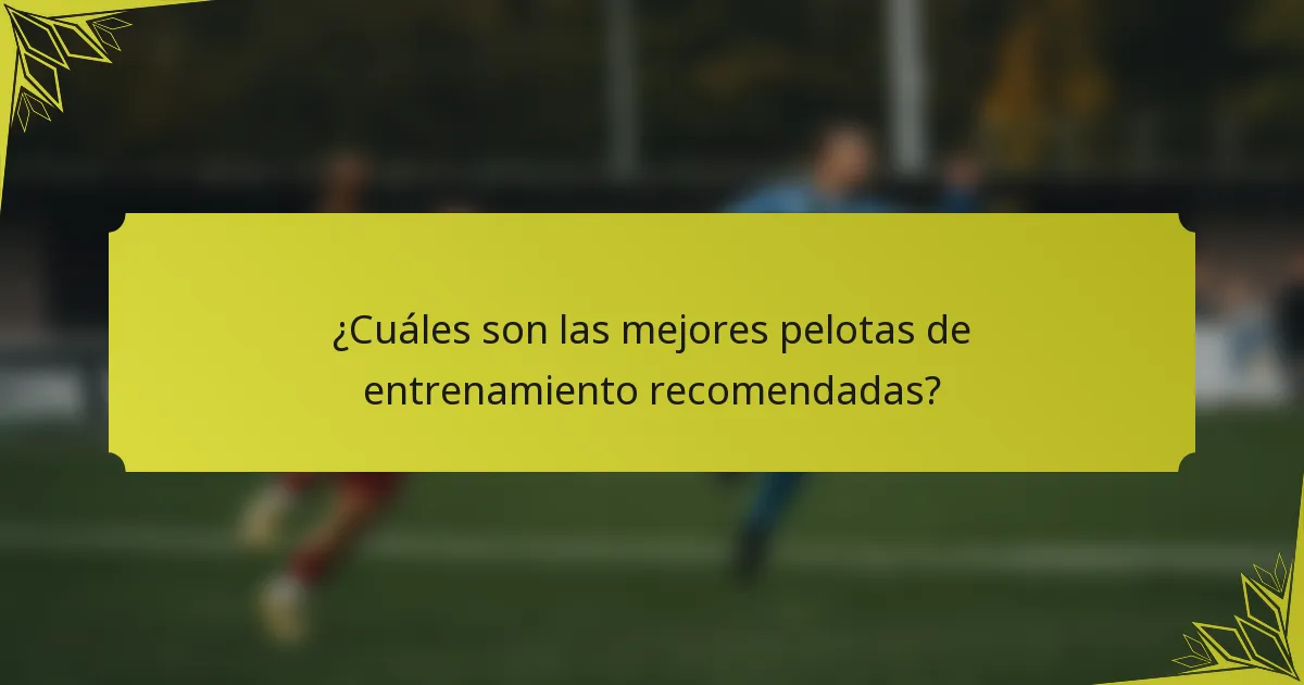 ¿Cuáles son las mejores pelotas de entrenamiento recomendadas?