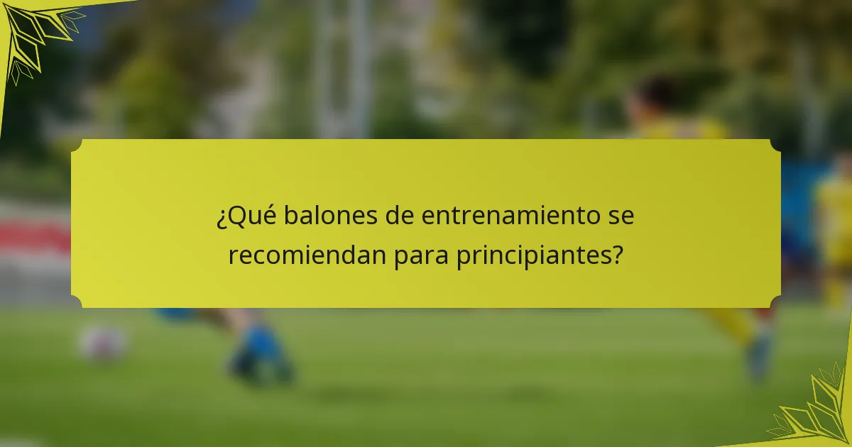 ¿Qué balones de entrenamiento se recomiendan para principiantes?