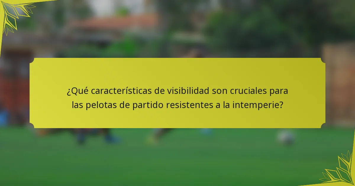 ¿Qué características de visibilidad son cruciales para las pelotas de partido resistentes a la intemperie?