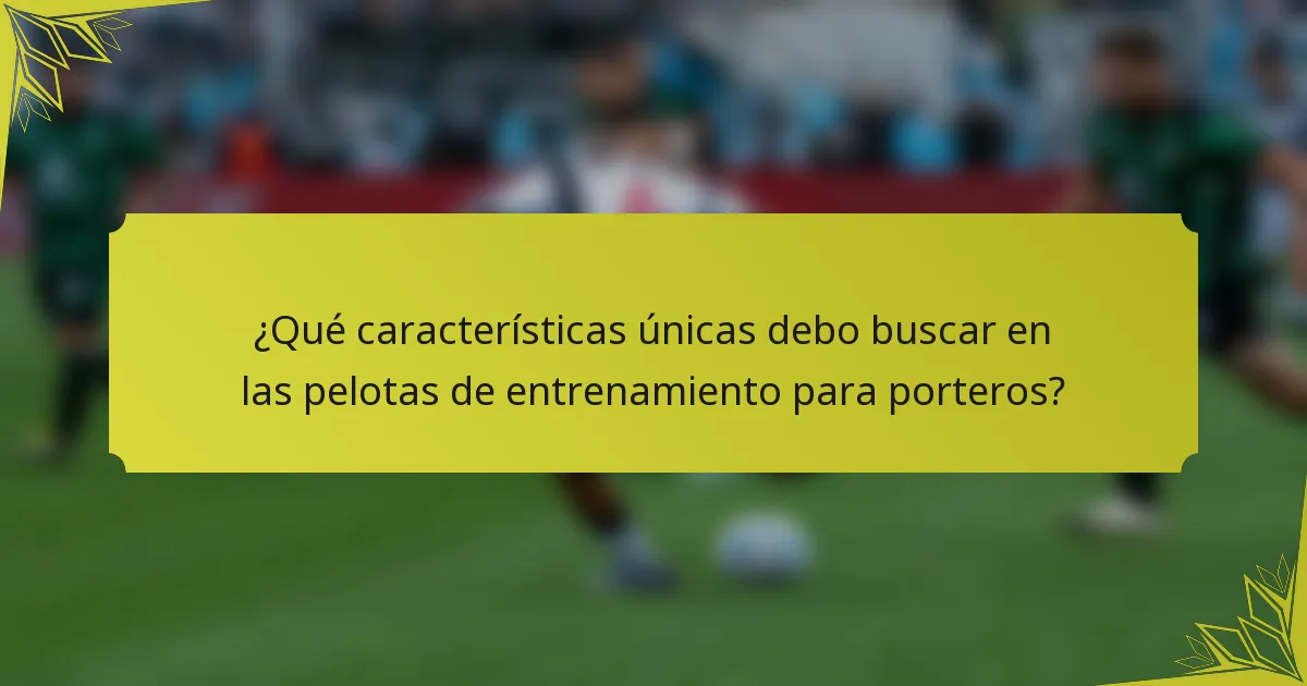 ¿Qué características únicas debo buscar en las pelotas de entrenamiento para porteros?