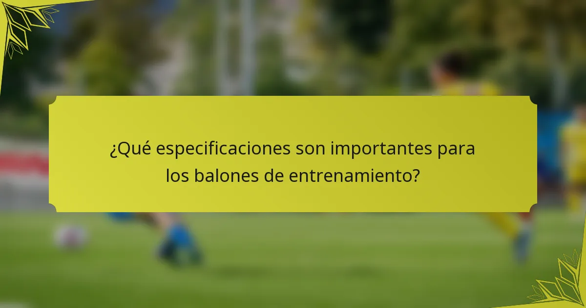 ¿Qué especificaciones son importantes para los balones de entrenamiento?