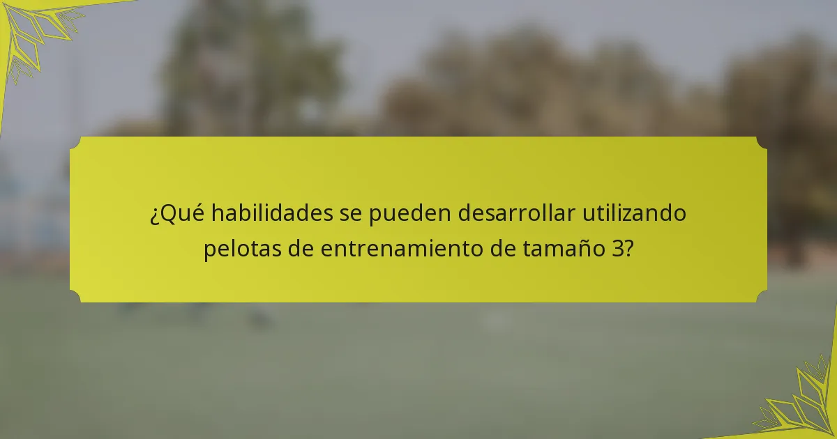 ¿Qué habilidades se pueden desarrollar utilizando pelotas de entrenamiento de tamaño 3?