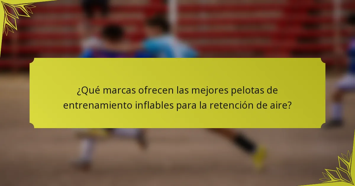 ¿Qué marcas ofrecen las mejores pelotas de entrenamiento inflables para la retención de aire?