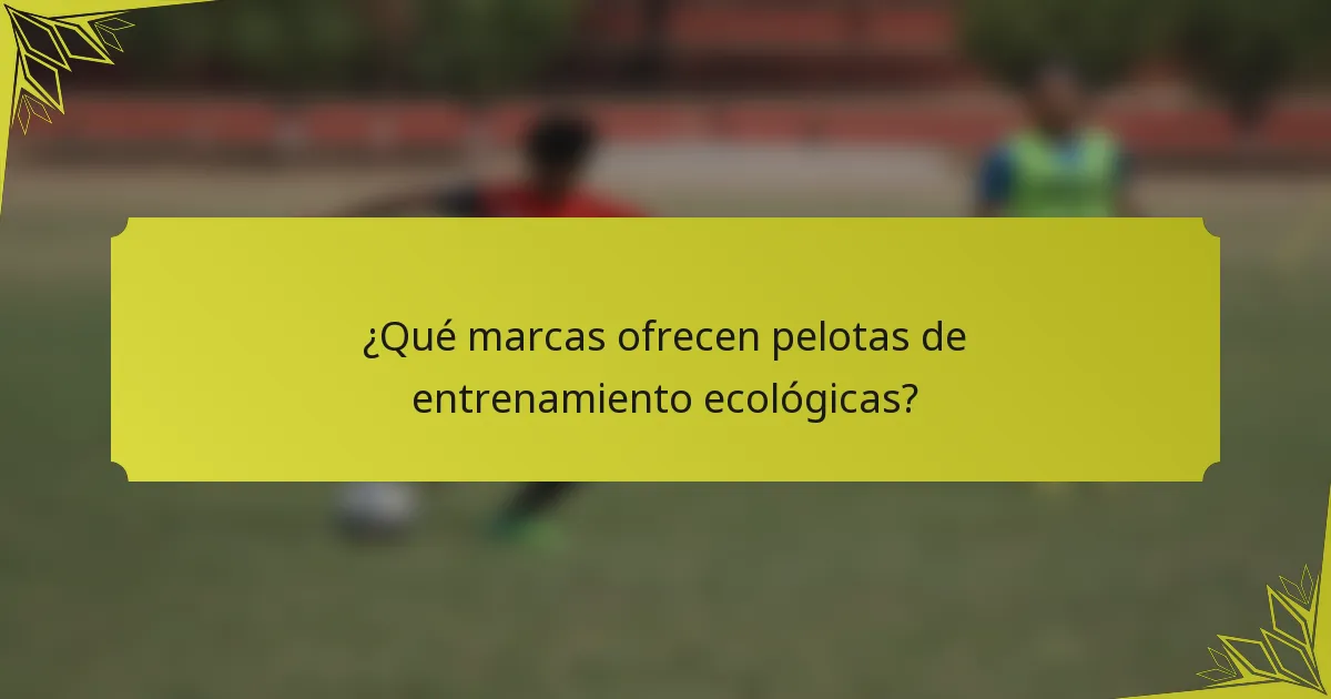 ¿Qué marcas ofrecen pelotas de entrenamiento ecológicas?