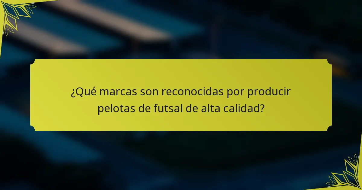 ¿Qué marcas son reconocidas por producir pelotas de futsal de alta calidad?