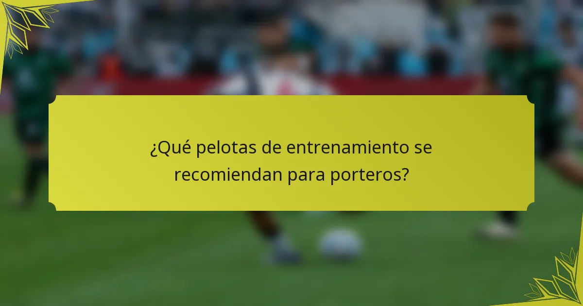 ¿Qué pelotas de entrenamiento se recomiendan para porteros?