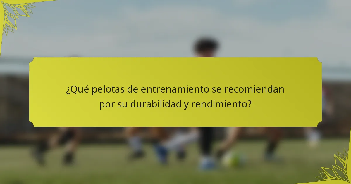 ¿Qué pelotas de entrenamiento se recomiendan por su durabilidad y rendimiento?